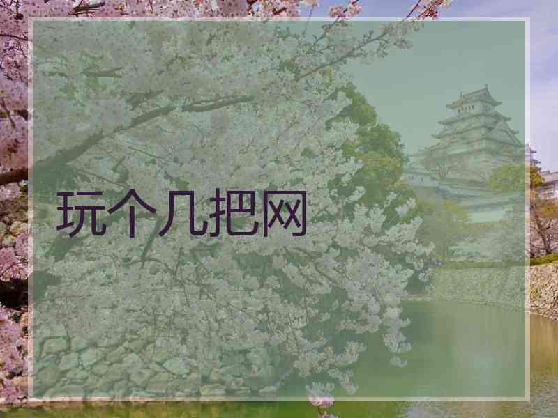 玩个几把网